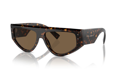 Sunglasses Dolce & Gabbana DG 4461 (502/73)