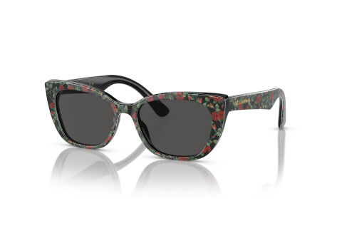 Occhiali da Sole Dolce & Gabbana DX 4427 (342687)