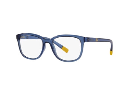 Eyeglasses Dolce & Gabbana DX 5094 (3009)