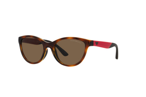 Sunglasses Emporio Armani EK 4003 (502673)