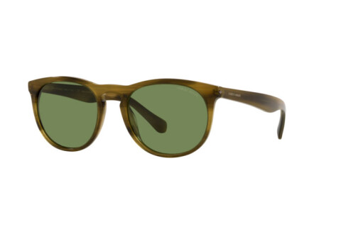 Sunglasses Giorgio Armani AR 8149 (59024E)