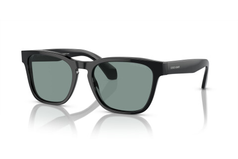 Sunglasses Giorgio Armani AR 8155 (587556)