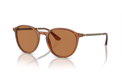 Sunglasses Giorgio Armani AR 8196 (604673)