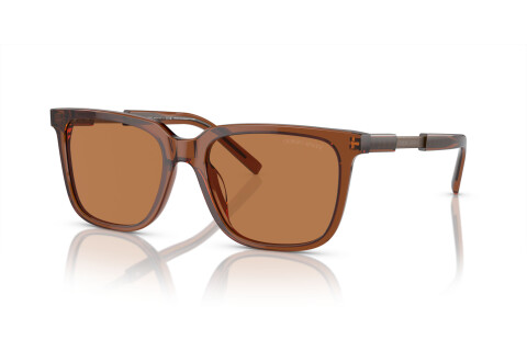 Солнцезащитные очки Giorgio Armani AR 8202U (604973)