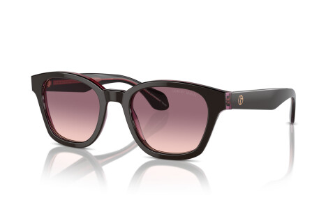 Lunettes de soleil Giorgio Armani AR 8207 (60888D)