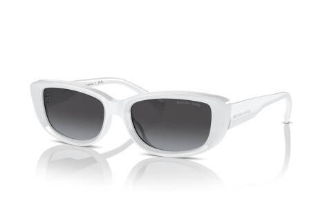 Sunglasses Michael Kors Asheville MK 2210U (31008G)