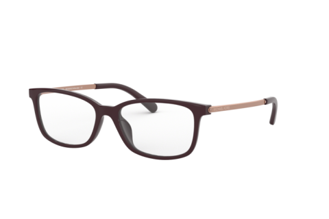 Eyeglasses Michael Kors Telluride MK 4060U (3344)