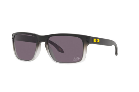 Солнцезащитные очки Oakley Holbrook OO 9102 (9102W1)