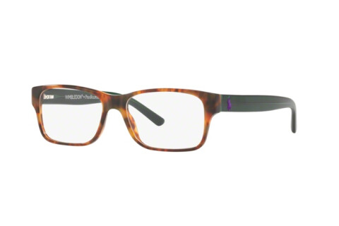Eyeglasses Polo PH 2117 (5650)