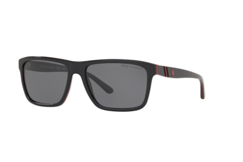 Sonnenbrille Polo PH 4153 (566881)