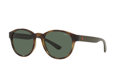 Солнцезащитные очки Polo PH 4176 (500371)