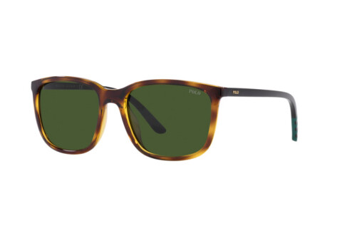 Lunettes de soleil Polo PH 4185U (500371)