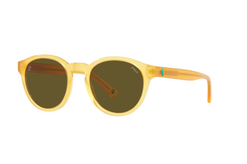 Солнцезащитные очки Polo PH 4192 (500573)