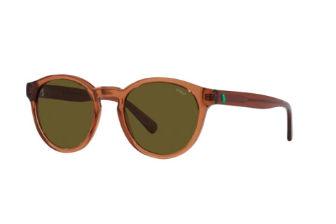 Солнцезащитные очки Polo PH 4192 (608673)