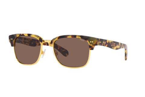 Солнцезащитные очки Polo PH 4202 (608773)