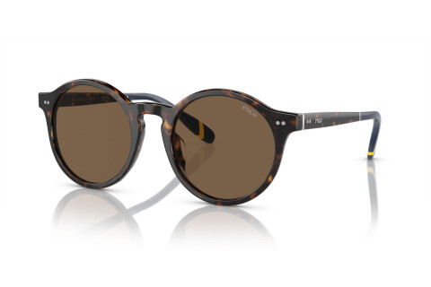 Sunglasses Polo PH 4204U (500373)
