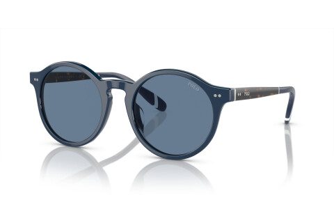 Sunglasses Polo PH 4204U (546580)