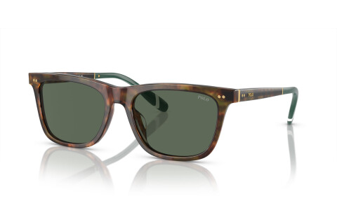 Солнцезащитные очки Polo PH 4205U (501771)