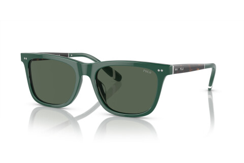 Солнцезащитные очки Polo PH 4205U (614171)