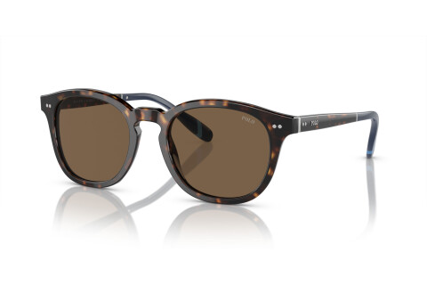 Sunglasses Polo PH 4206 (500373)