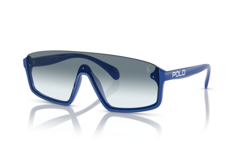 Sunglasses Polo PH 4211U (596219)