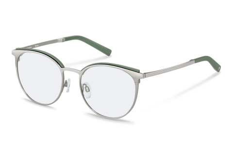 Eyeglasses Rodenstock R7124 (C)