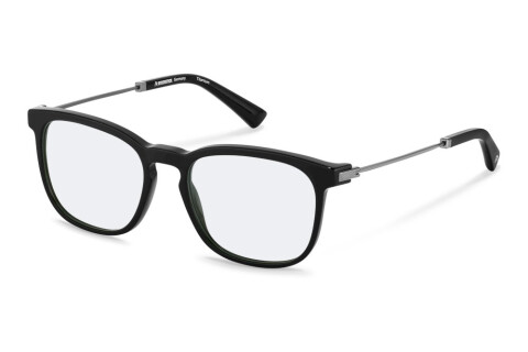 Eyeglasses Rodenstock R8029 (D000)
