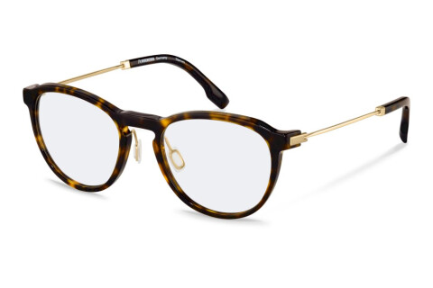 Eyeglasses Rodenstock R8031 (A000)