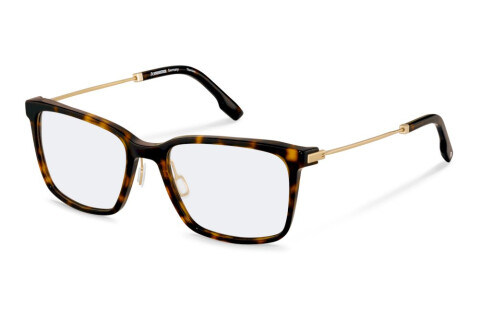 Eyeglasses Rodenstock R8032 (B000)
