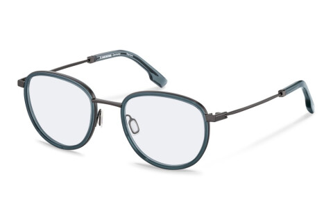 Eyeglasses Rodenstock R8034 (B000)