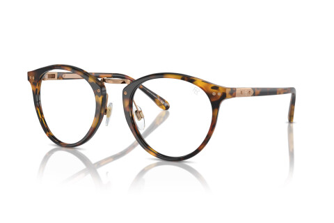 Sonnenbrille Ralph Lauren The Quincy RL 8223 (5134BF)