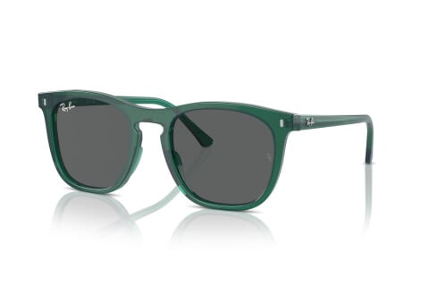 Sonnenbrille Ray-Ban RB 2210 (6615B1)