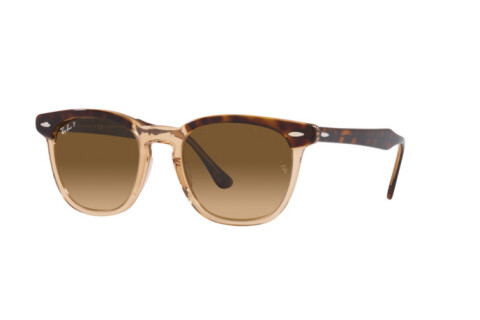 Солнцезащитные очки Ray-Ban Hawkeye RB 2298 (1292M2)