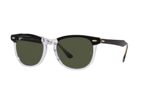 Солнцезащитные очки Ray-Ban Eagle Eye RB 2398 (129431)