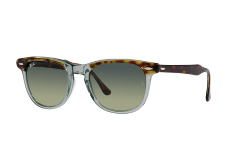 Солнцезащитные очки Ray-Ban Eagle Eye RB 2398 (1376BH)