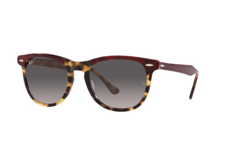 Sonnenbrille Ray-Ban Eagle Eye RB 2398 (1377M3)