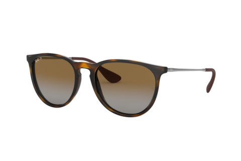 Sunglasses Ray-Ban Erika RB 4171 (710/T5)