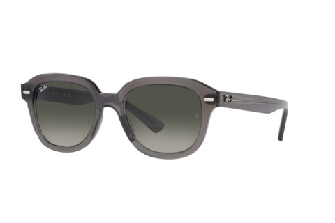 Lunettes de soleil Ray-Ban Erik RB 4398 (667571)