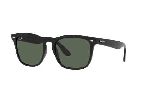 Lunettes de soleil Ray-Ban Steve RB 4487 (662971)