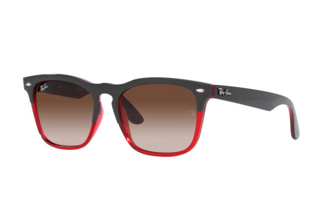 Sunglasses Ray-Ban Steve RB 4487 (663113)