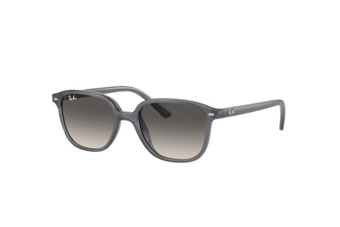 Sunglasses Ray-Ban Leonard Junior RJ 9093S (713411)