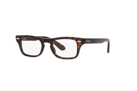 Eyeglasses Ray-Ban Burbank jr RY 9083V (3887)