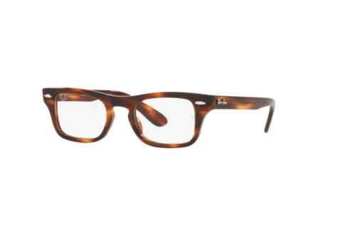 Eyeglasses Ray-Ban Burbank jr RY 9083V (3888)