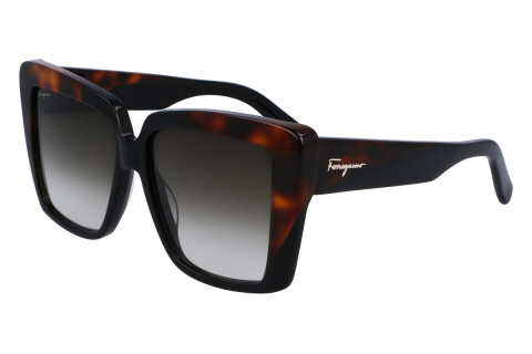 Sunglasses Salvatore Ferragamo SF1060S (006)
