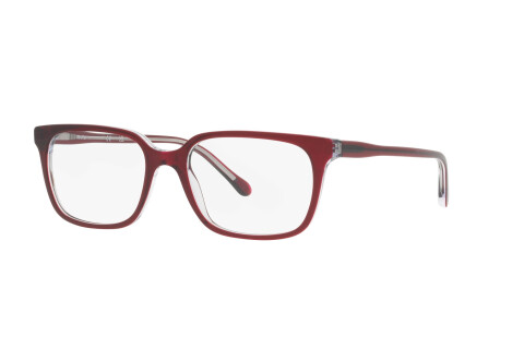 Eyeglasses Sferoflex SF 1151 (C641)