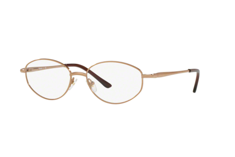 Lunettes de vue Sferoflex SF 2588 (267)