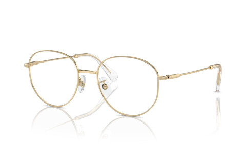 Brille Swarovski SK 1016D (4013)