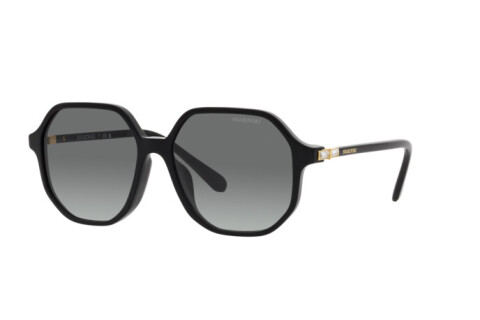 Sunglasses Swarovski SK 6003 (100111)