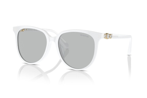 Sunglasses Swarovski SK 6023D (103387)