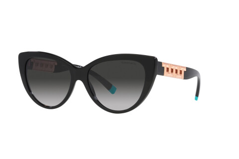 Sunglasses Tiffany TF 4196 (80013C)